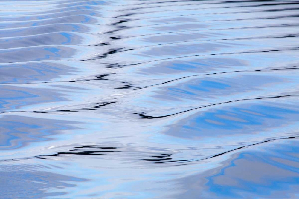 USA, Alaska, Endicott Arm Boat wake patterns art print by Don Paulson for $57.95 CAD
