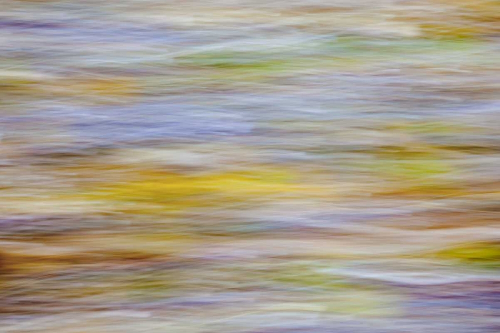 WA, Seabeck Motion blur of fall leaves on beach art print by Don Paulson for $57.95 CAD