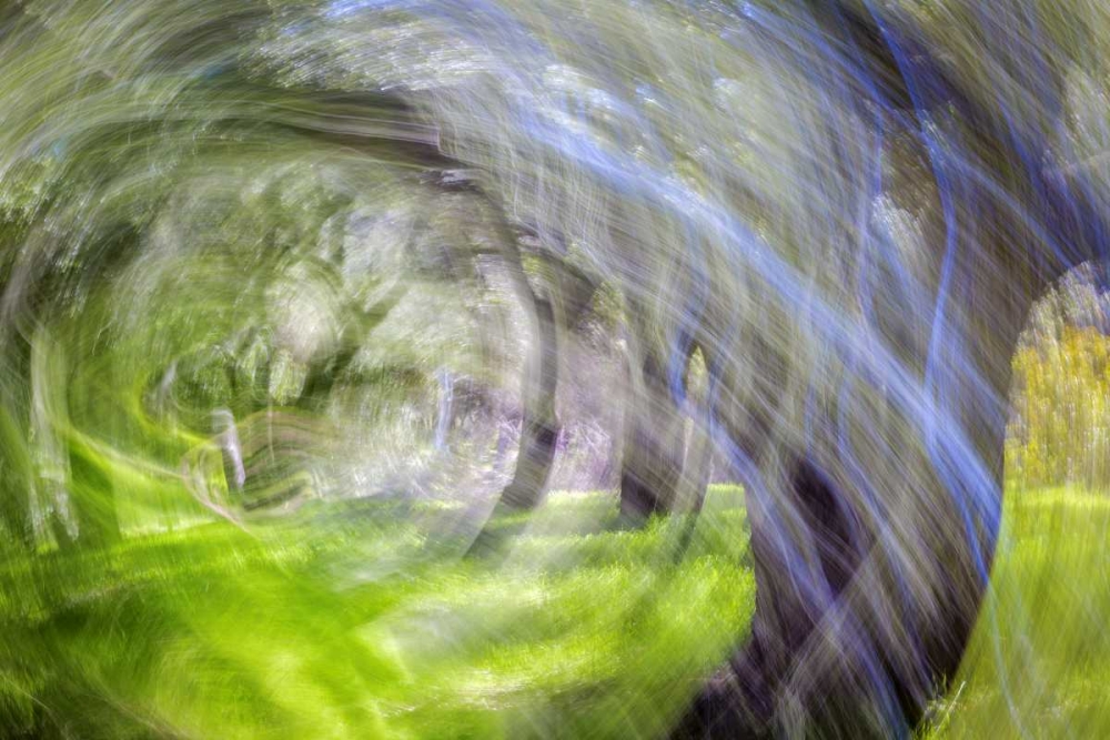 Mexico, Tecate Motion blurred outside abstract art print by Don Paulson for $57.95 CAD