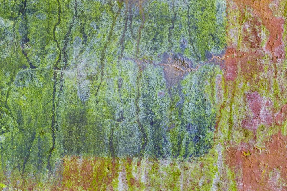 Washington, Fort Hayden Abstract painted wall art print by Don Paulson for $57.95 CAD