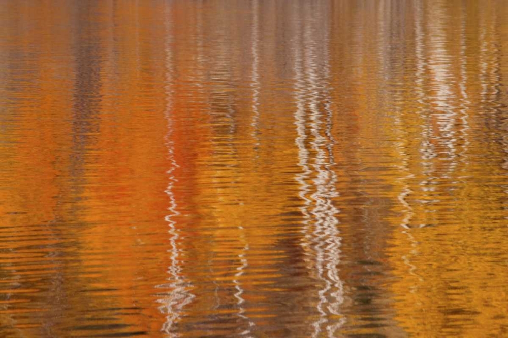 WA, Winthrop Autumn reflections on Beaver Pond art print by Don Paulson for $57.95 CAD