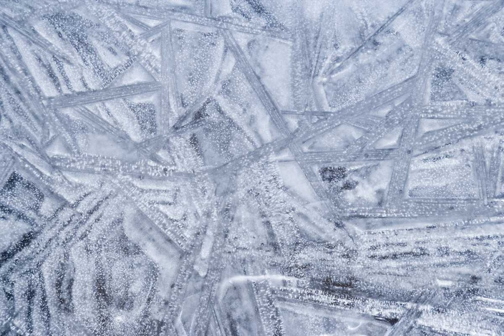 USA, Washington State, Seabeck Patterns on ice art print by Don Paulson for $57.95 CAD