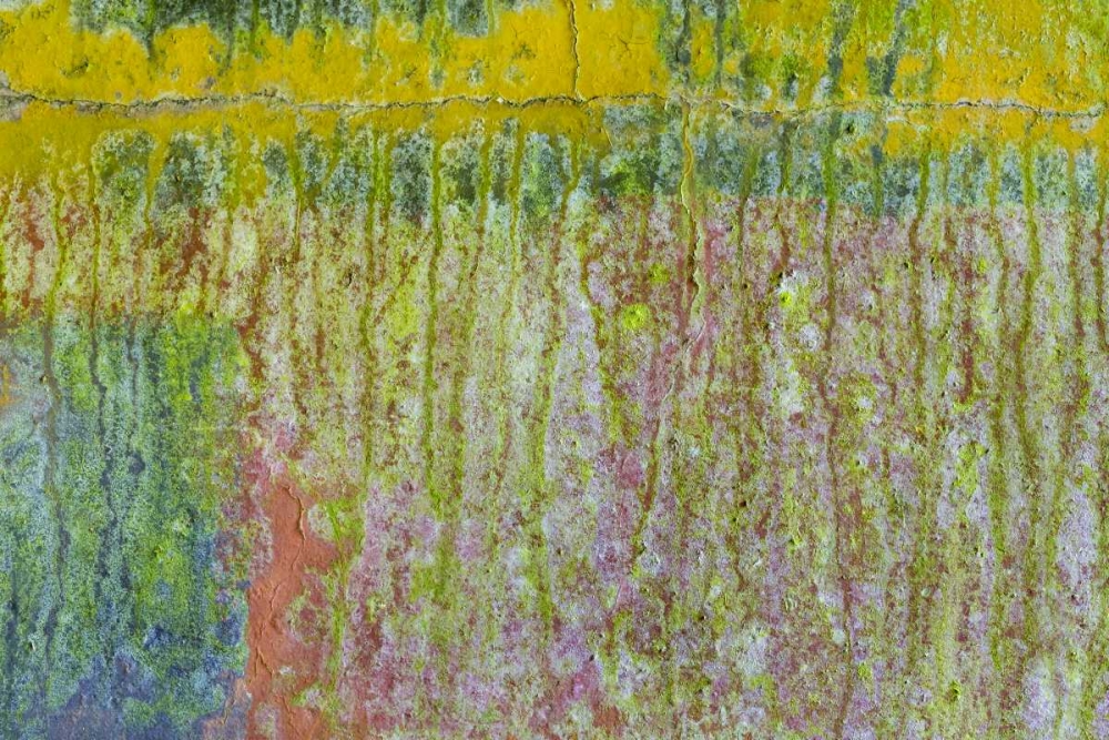Washington, Fort Hayden Abstract painted wall art print by Don Paulson for $57.95 CAD