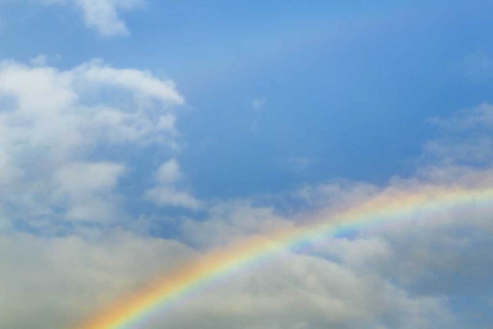 Washington, Seabeck Rainbow in light rainfall art print by Don Paulson for $57.95 CAD