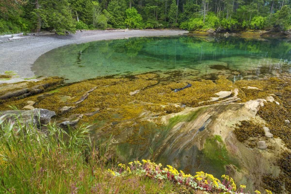 Washington Secluded bay on Sucia Island art print by Don Paulson for $57.95 CAD