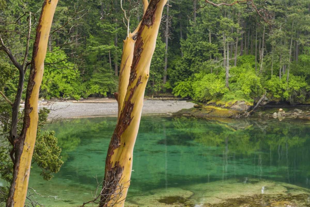Washington Secluded bay on Sucia Island art print by Don Paulson for $57.95 CAD
