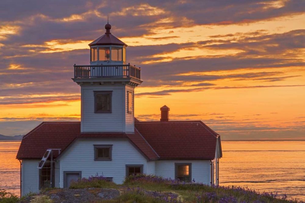 Washington, San Juan Islands Patos Lighthouse art print by Don Paulson for $57.95 CAD