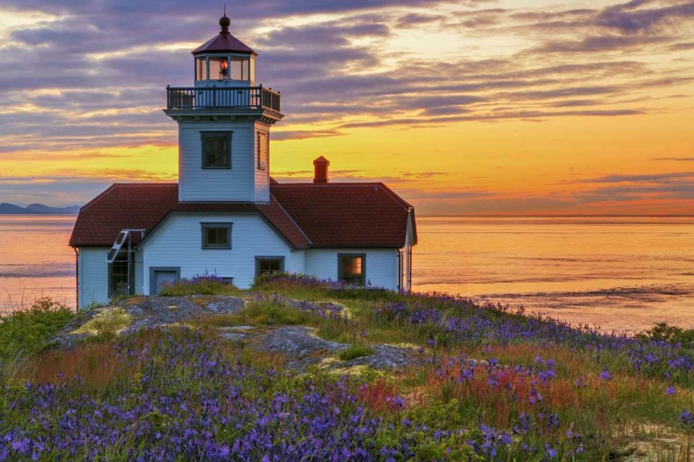 Washington, San Juan Islands Patos Lighthouse art print by Don Paulson for $57.95 CAD