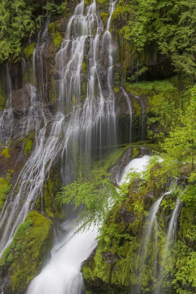 Washington Spring Panther Creek Waterfall art print by Don Paulson for $57.95 CAD