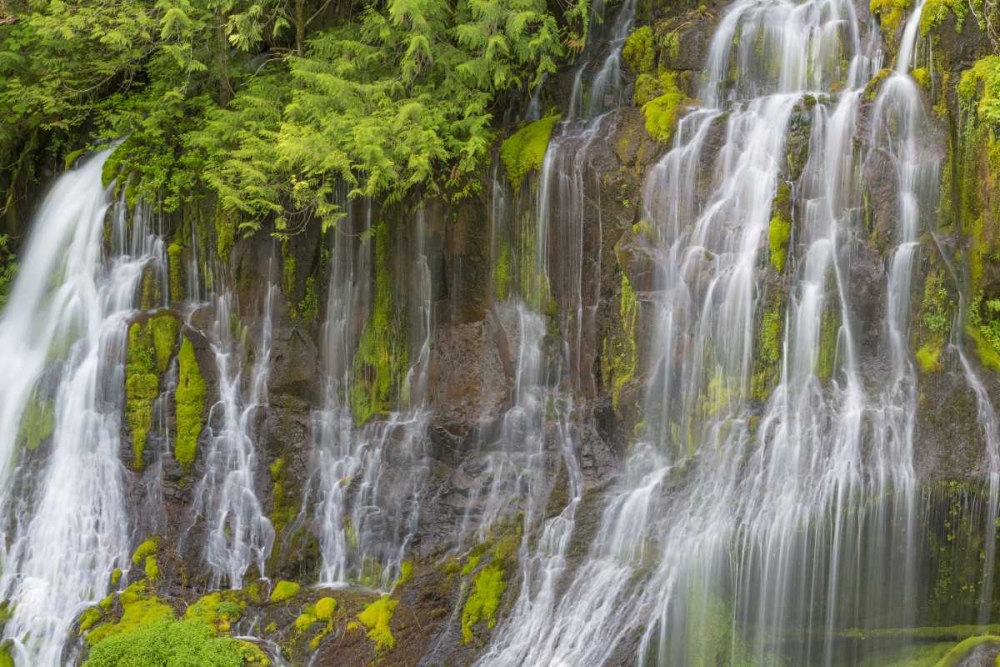 Washington Spring Panther Creek Waterfall art print by Don Paulson for $57.95 CAD
