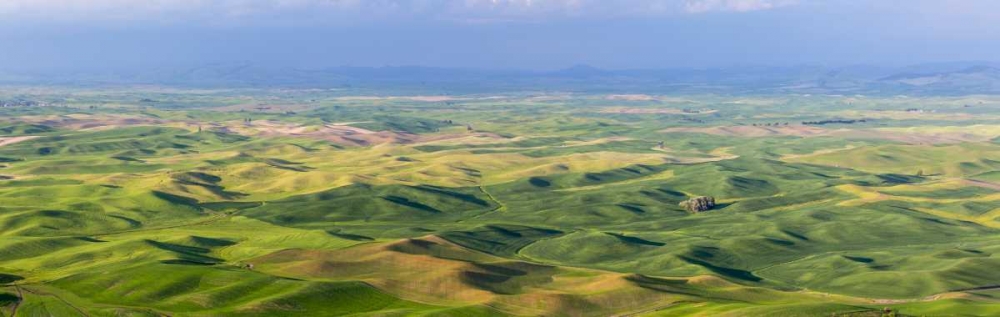 Washington, Palouse Hills Panorama of farmland art print by Don Paulson for $57.95 CAD