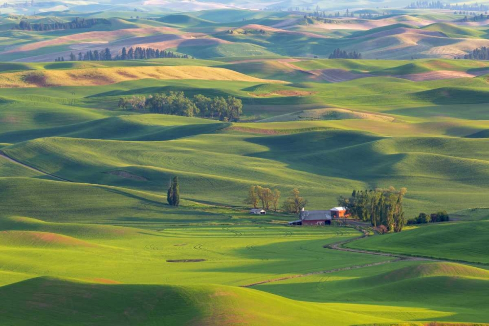 WA, Palouse Hills Farmland from Steptoe Butte art print by Don Paulson for $57.95 CAD