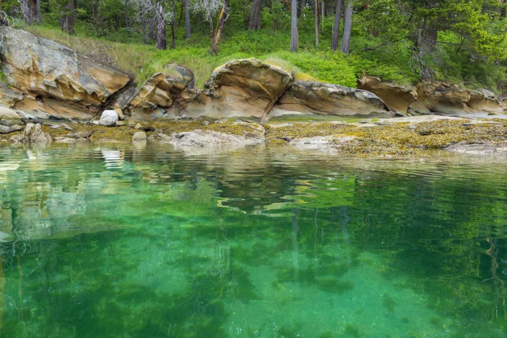 WA, San Juans Secluded bay on Sucia Island art print by Don Paulson for $57.95 CAD