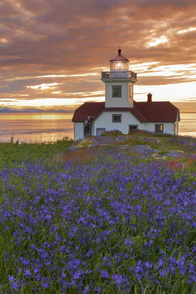 Washington, San Juan Islands Patos Lighthouse art print by Don Paulson for $57.95 CAD