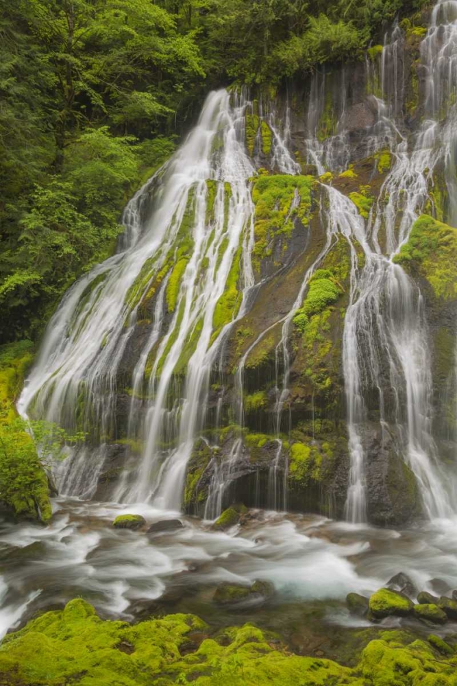 Washington Spring Panther Creek Waterfall art print by Don Paulson for $57.95 CAD