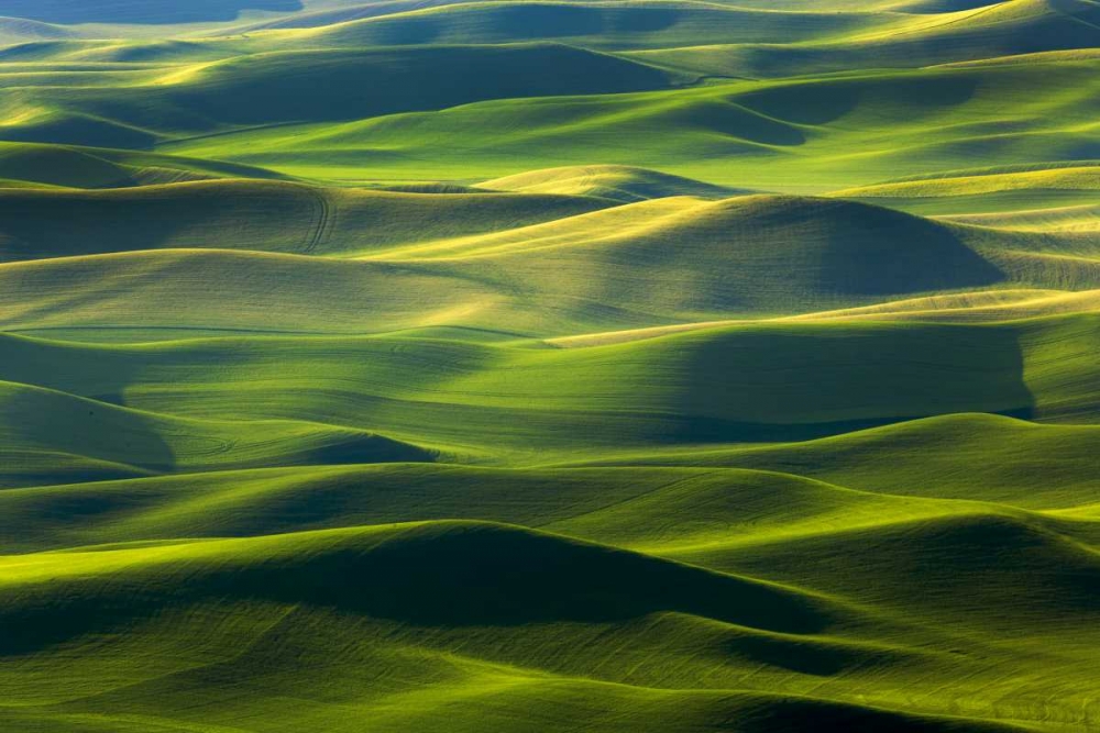 WA, Palouse Hills Farmland from Steptoe Butte art print by Don Paulson for $57.95 CAD