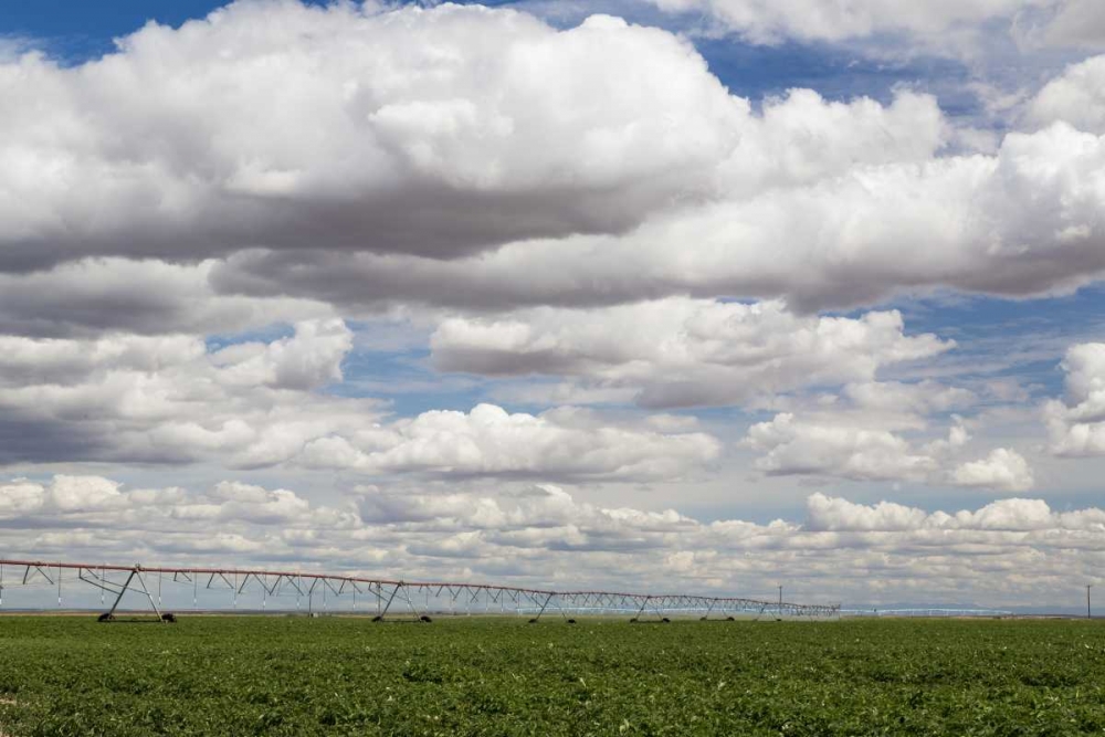 WA, Connell Irrigation device in farm field art print by Don Paulson for $57.95 CAD