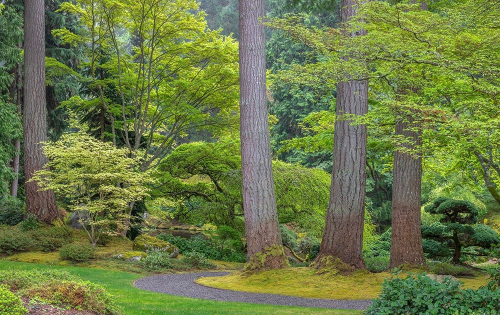 Washington State-Bainbridge Island Garden path composite panoramic art print by Jaynes Gallery for $57.95 CAD