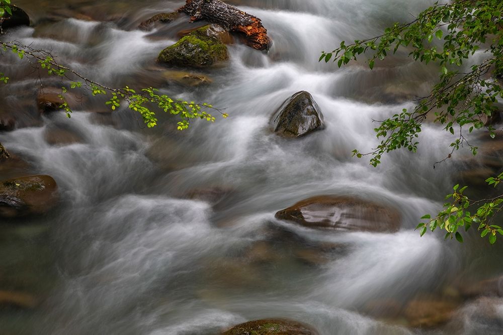 Washington State-Olympic National Park Dungeness River rapids art print by Jaynes Gallery for $57.95 CAD