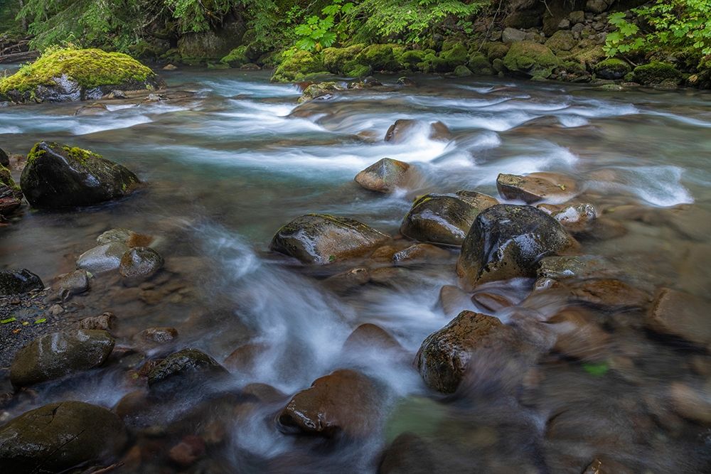 Washington State-Olympic National Park Dungeness River rapids art print by Jaynes Gallery for $57.95 CAD