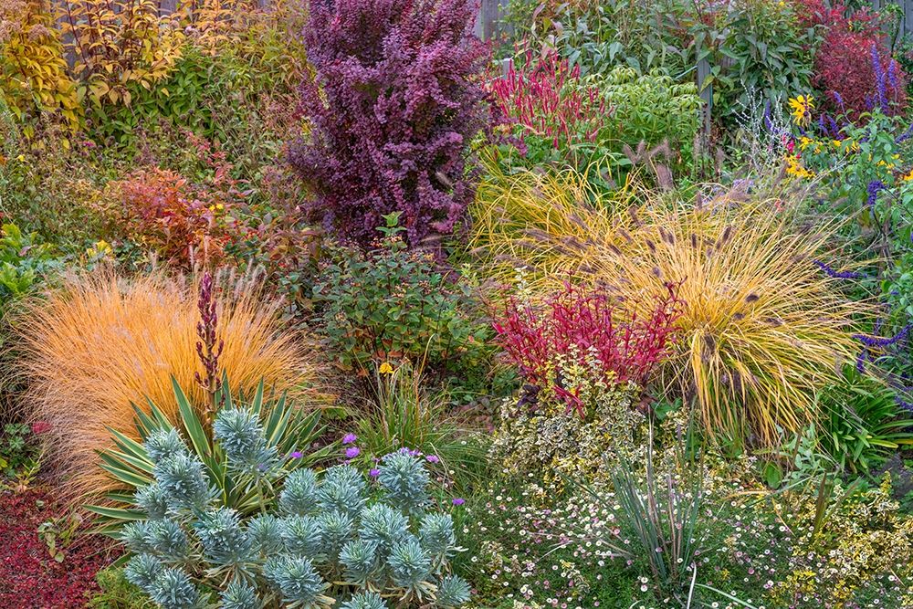 Washington State-Lemolo Garden in autumn art print by Jaynes Gallery for $57.95 CAD