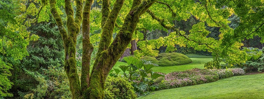 Washington State-Bainbridge Island Panoramic of garden art print by Jaynes Gallery for $57.95 CAD