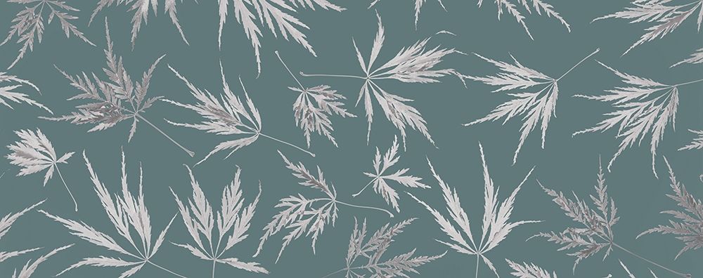 Washington State-Seabeck Panoramic of lace leaf maple leaves art print by Jaynes Gallery for $57.95 CAD