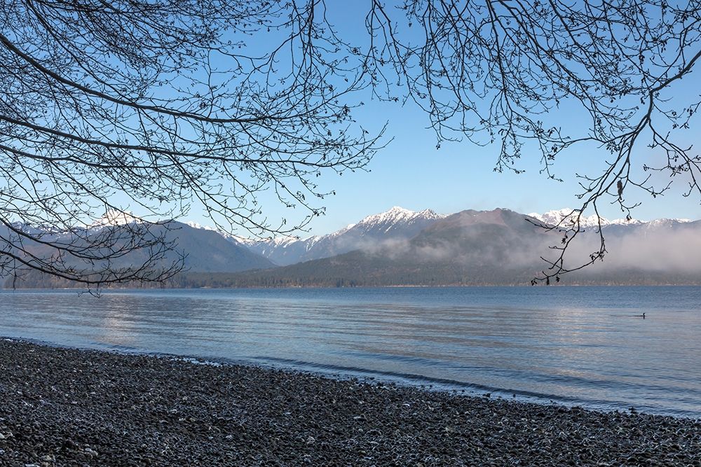 Washington State-Seabeck Winter morning on Hood Canal beach art print by Jaynes Gallery for $57.95 CAD