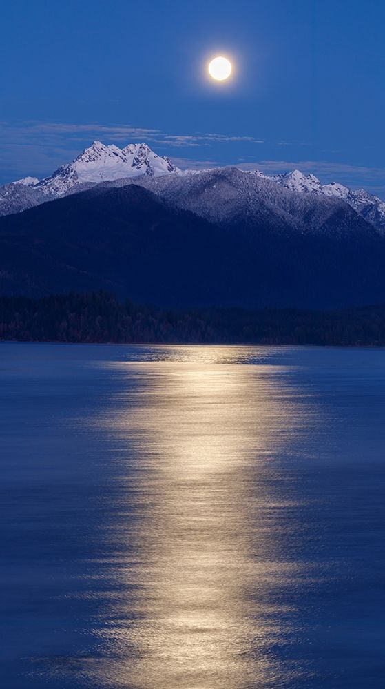 Washington State-Seabeck Moon over Olympic Mountains and Hood Canal at sunrise art print by Jaynes Gallery for $57.95 CAD