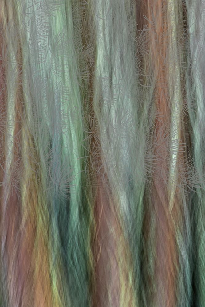 USA-Washington State-Seabeck Forest fantasy composite in Guillemot Cove Nature Preserve art print by Jaynes Gallery for $57.95 CAD