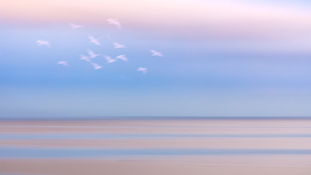 USA-Washington State-Seabeck Pastel sunrise panoramic over Hood Canal art print by Jaynes Gallery for $57.95 CAD