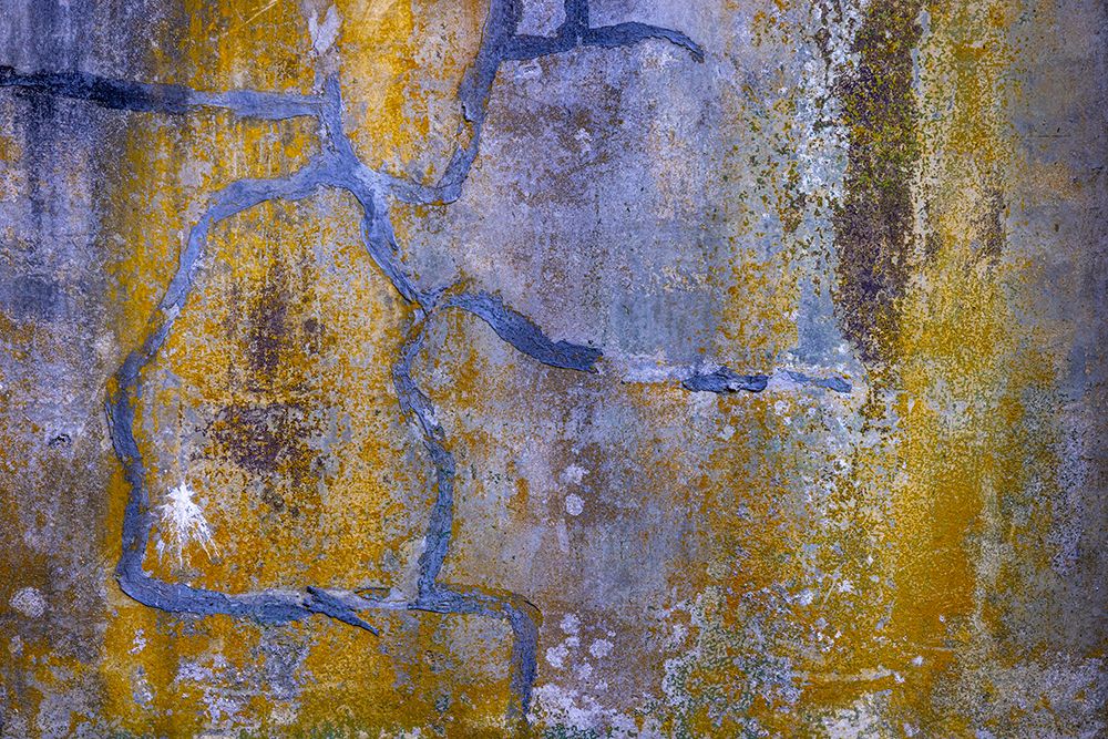 USA-Washington State-Fort Flagler State Park Abstract pattern of weathered wall art print by Jaynes Gallery for $57.95 CAD