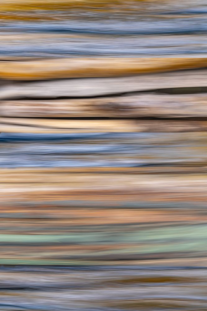 USA-Washington State-Seabeck Abstract of tree trunk and limbs art print by Jaynes Gallery for $57.95 CAD