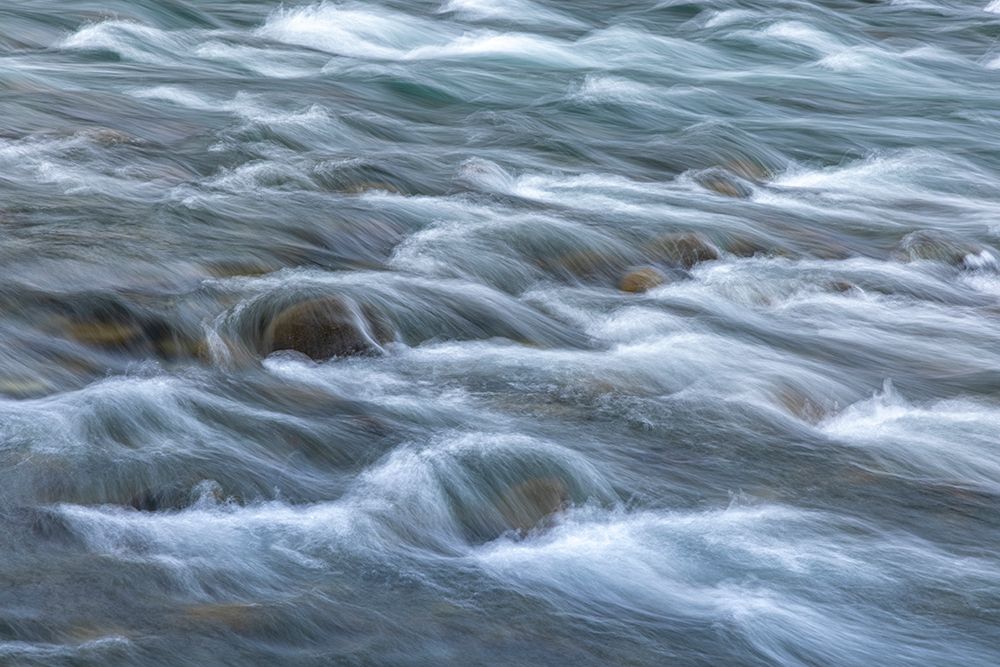 USA-Washington State-Olympic National Park Elwha River rapids scenic art print by Jaynes Gallery for $57.95 CAD