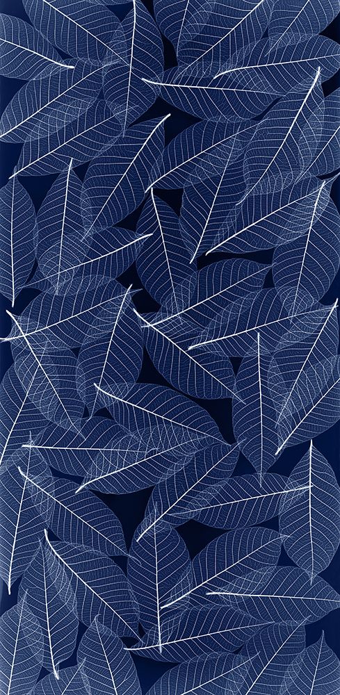 USA- Washington State- Seabeck. Black and white pattern of skeletonized leaves. art print by Jaynes Gallery for $57.95 CAD