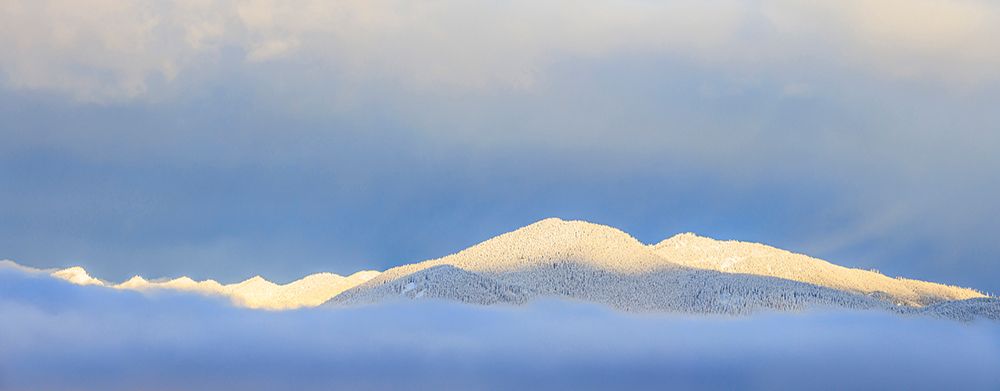 USA- Washington State. Sunrise panoramic of snow-covered mountains in Olympic National Forest. art print by Jaynes Gallery for $57.95 CAD