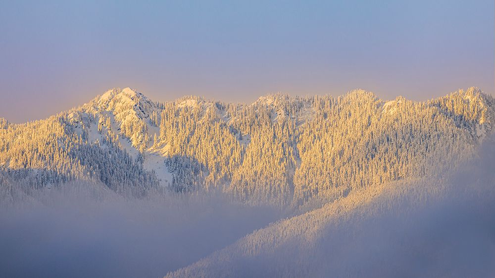 USA- Washington State. Sunrise on snow-covered mountains in Olympic National Forest. art print by Jaynes Gallery for $57.95 CAD