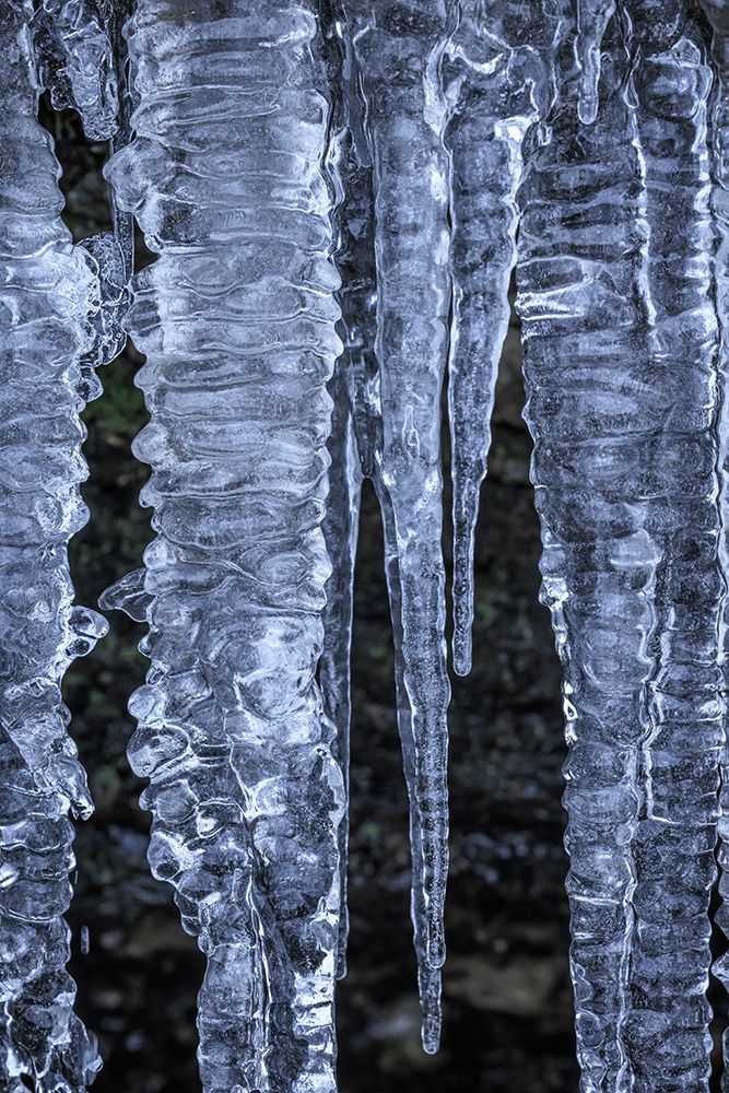USA- Washington State- Seabeck. Close-up of icicles. art print by Jaynes Gallery for $57.95 CAD