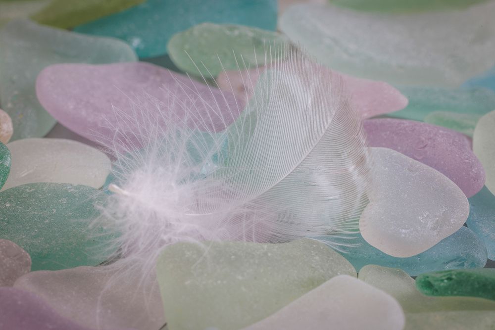 USA- Washington State- Seabeck. Feather and beach glass close-up. art print by Jaynes Gallery for $57.95 CAD