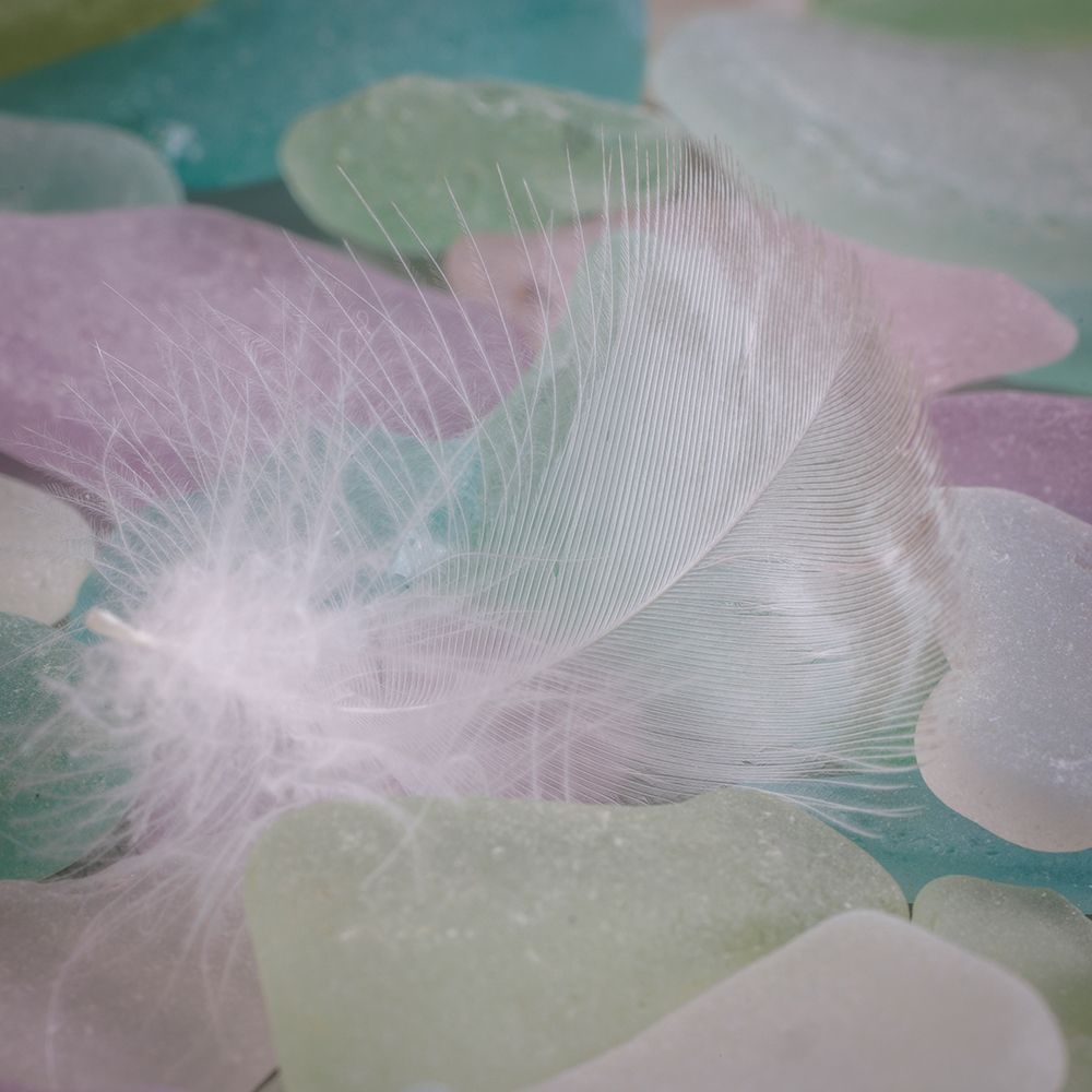 USA- Washington State- Seabeck. Feather and beach glass close-up. art print by Jaynes Gallery for $57.95 CAD