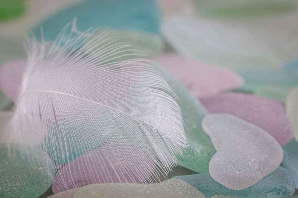 USA- Washington State- Seabeck. Feather and beach glass close-up. art print by Jaynes Gallery for $57.95 CAD