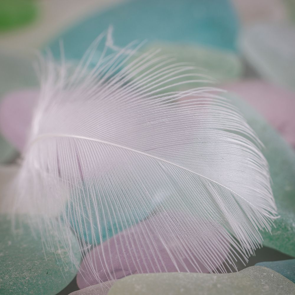 USA- Washington State- Seabeck. Feather and beach glass close-up. art print by Jaynes Gallery for $57.95 CAD