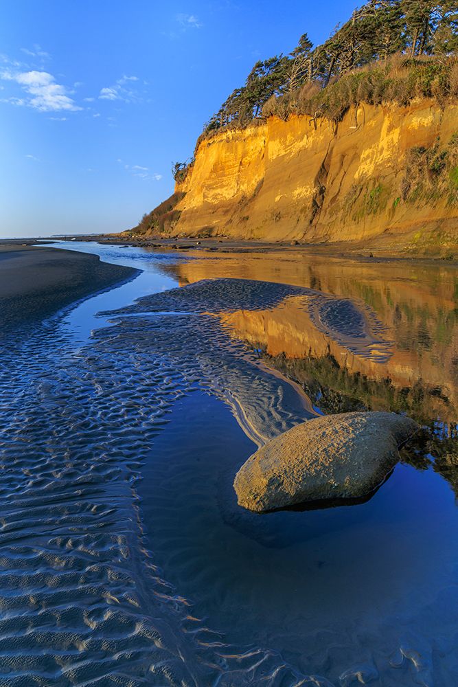 USA-Washington State-Copalis Beach-Iron Springs Patterns in beach sand at sunset art print by Jaynes Gallery for $57.95 CAD