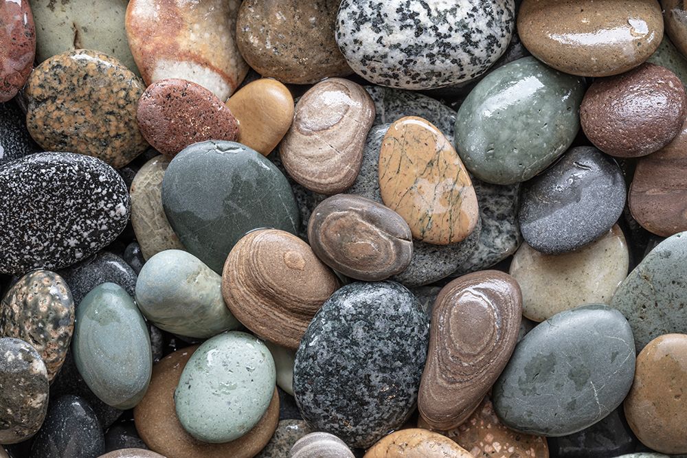USA, Washington State, Seabeck. Close-up of wet beach rocks. art print by Jaynes Gallery for $57.95 CAD