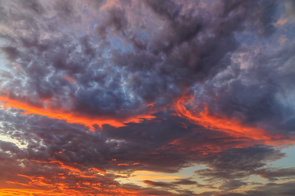 USA, Washington State. Vivid sunset clouds. art print by Jaynes Gallery for $57.95 CAD