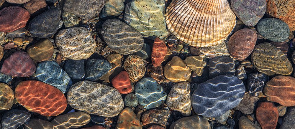 USA, Washington State, Seabeck. Panoramic  of beach rocks and cockle shell on Hood Canal shore. art print by Jaynes Gallery for $57.95 CAD