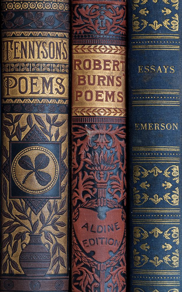 USA, Washington State, Seabeck. Spines of classic books. art print by Jaynes Gallery for $57.95 CAD