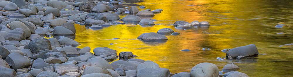 USA, Washington State, Olympic National Park. Golden maple tree reflections on Sol Duc River. art print by Jaynes Gallery for $57.95 CAD