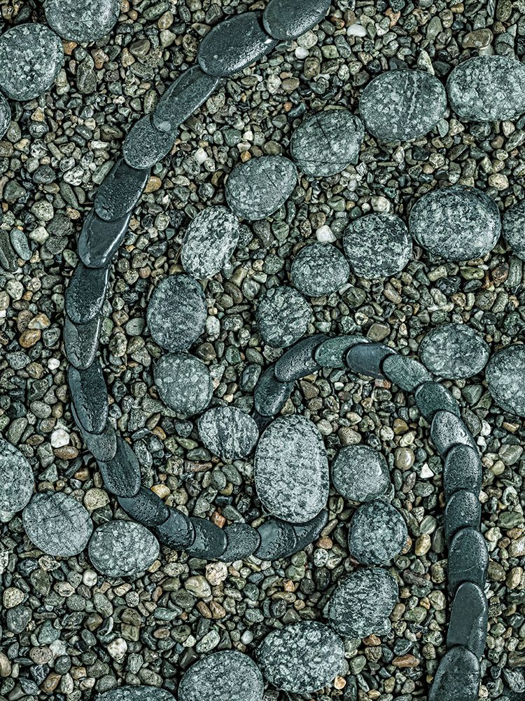 USA, Washington State, Seabeck. Close-up of rock design. art print by Jaynes Gallery for $57.95 CAD