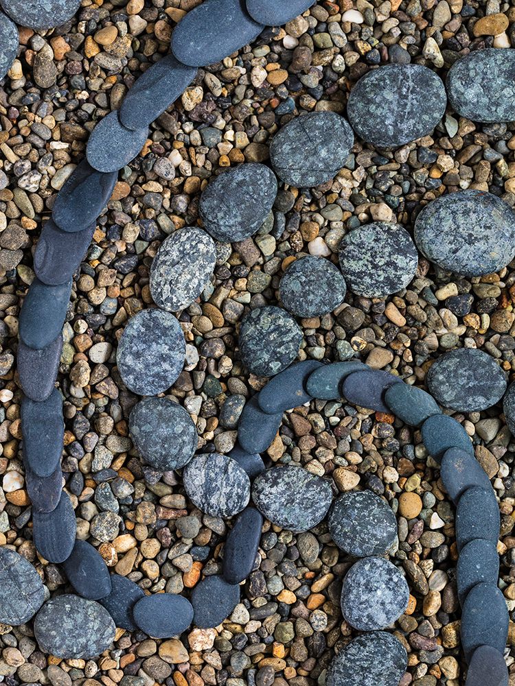 USA, Washington State, Seabeck. Close-up of rock design. art print by Jaynes Gallery for $57.95 CAD